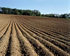 Soil Depletion